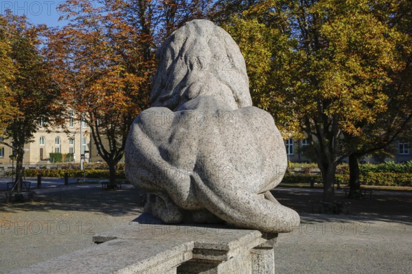 Resting lion made of granite on the terraced base of the equestrian statue of Emperor Wilhelm I on Karlsplatz, back, from behind, buttocks, historical square, sculpture, large sculpture, equestrian monument by Professor Wilhelm von Rümann and Professor Friedrich Ritter von Thiersch, art in public space, behind Old Palace, Württemberg State Museum, historical building, architecture, state capital, Stuttgart, Baden-Württemberg, Germany, Europe