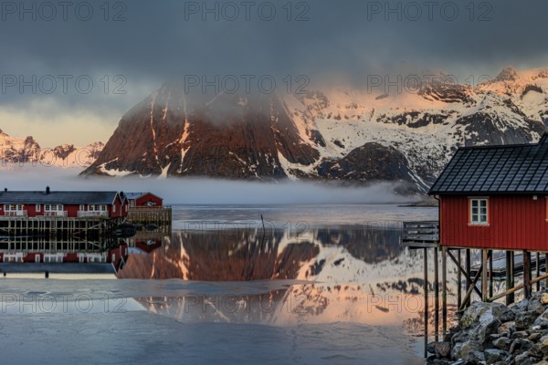 Typical Norwegian houses in fjord in front of steep mountains, sea fog, winter, Reine, Moskenesoya, Lofoten, Norway, Europe