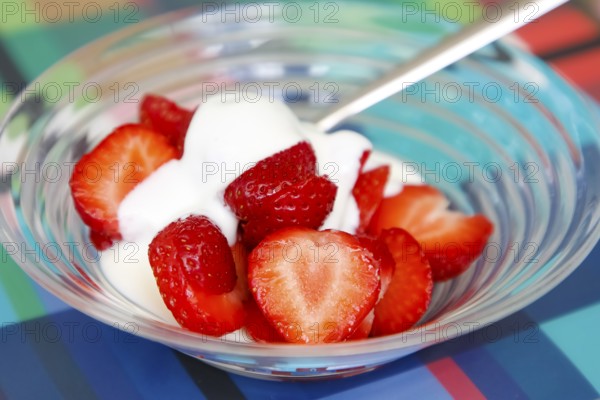 Quark with fresh strawberries, dessert, dessert bowl, healthy, fruit, dairy product, vegetarian, food photography, studio, Germany, Europe
