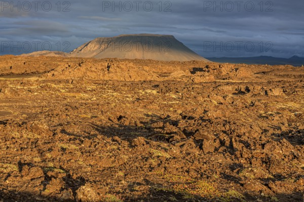 Large lava field and volcanic crater in the midnight sun, clouds, mood, Burfellshraun, Myvatn, North Iceland, Iceland, Europe