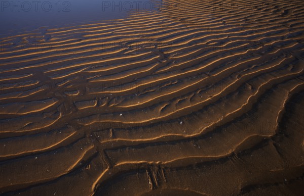 Sand ripples, wavy lines in the sand, structure, sandy beach, Meia Praia beach, Lagos, Atlantic Ocean, evening light, Algarve, Portugal, Europe