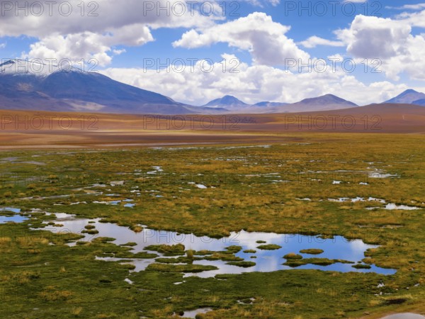 Highland landscape with tundra, mountains and lagoons, Atacama Desert, Chile, South America