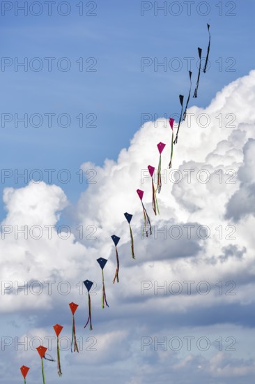 Strung kites flying in the sky, garland, kite festival in Vinsebeck, Steinheim, Eggegebirge and Southern Teutoburg Forest nature park Park, Weserbergland, North Rhine-Westphalia, Germany, Europe