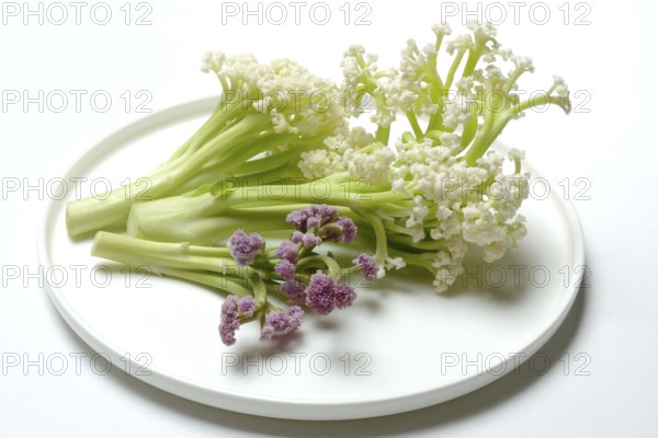 Fioretto, a cross between cauliflower and broccoli. The flowers are reminiscent of coral, vegetables