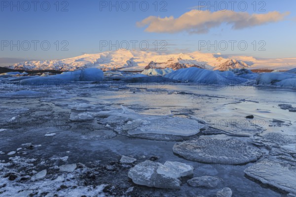 Ice floes in sea in front of glacier and mountains, morning light, Jökulsarlon, Vatnajökull, Iceland, Europe