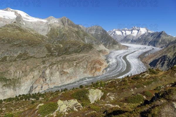 Aletsch glacier, glacier tongue, panorama, climate change, decline, global warming, ice, global climate, tourism, Aletsch Arena, Valais, Switzerland, Europe