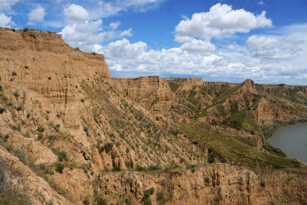 Ein felsiger Canyon mit einem klaren blauen Himmel und weißen Wolken darüber, Barrancas de Burujón, Burujon, río Tajo, Fluss Tajo, embalse de Castrejón, Stausee de Castrejon, Toledo, Kastilien-La Mancha, Spanien