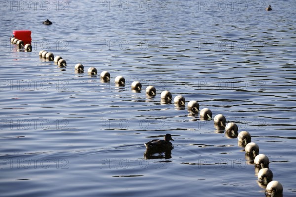 Lakeside, September, Germany, Europe