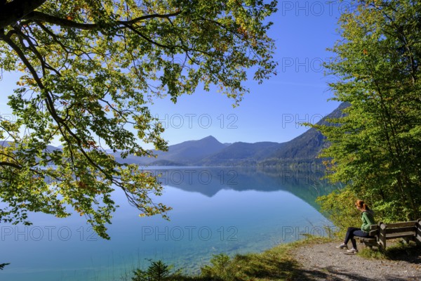 Walchensee near Sachenbach, Jachenau, Upper Bavaria, Bavaria, Germany, Europe