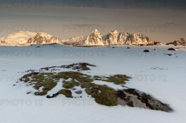 Winter landscape, Rugged mountains, Lofoten island Vestvågøya at the fjord Gimsøystraumen, Lofoten, Northern Norway, Norway, Europe