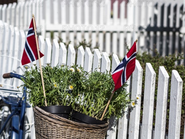 Decorated bicycle at a white fence, norwegian national day, village Solvorn at the Sognefjord, Norway, Europe