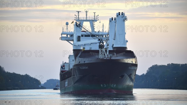 General Cargo, cargo ship Pijlgracht sailing at sunrise in the Kiel Canal, Kiel Canal, Schleswig-Holstein, Germany, Europe