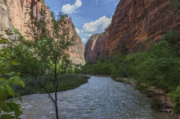 Virgin River runs between sandstone rock formations along the Riverside Walk in the Temple of Sinawava area of Zion National Park, Utah