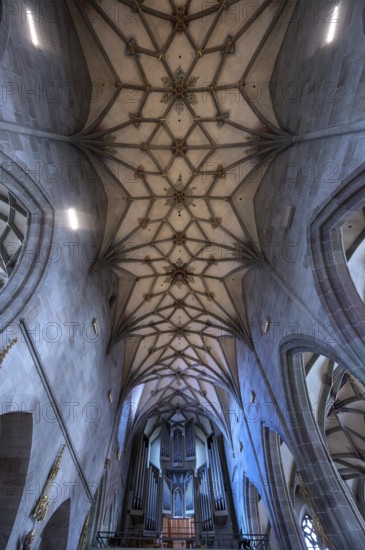 Late Gothic ribbed vault with organ loft from the Heilig-Kreuz-Münster, 15th century, Rottweil, Baden-Württemberg, Germany, Europe