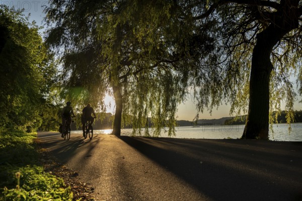 Cycling on Lake Baldeney, around 14 kilometres around the Ruhr reservoir, summer evening on the eastern shore, Essen, North Rhine-Westphalia, Germany, Europe