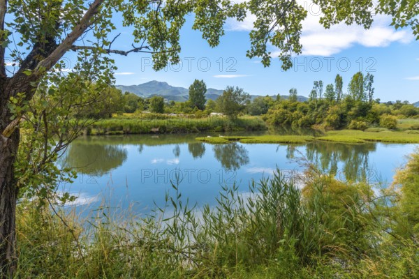 Beautiful landscape in the Jaizubia marsh in the town of Hondarribia or Fuenterrabia in Gipuzkoa. Basque Country