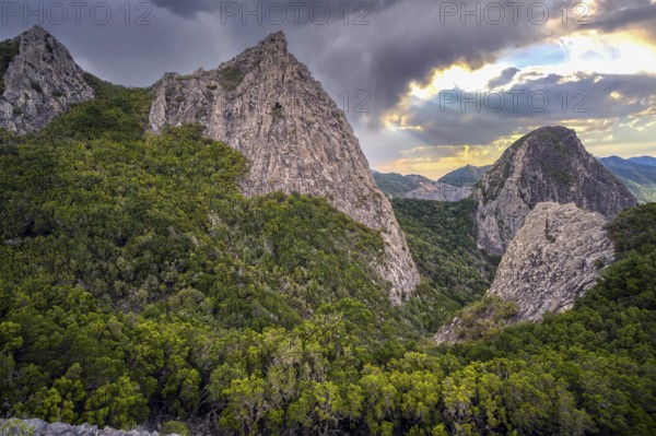 Landscape La Gomera Canary Islands