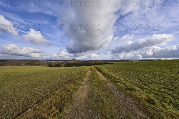 Agriculture, fields, hilly landscape, coniferous forest, landscape, landscape photography, blue sky, cumulus clouds, cirrostratus clouds, dirt road, Dreis-Brück, Eifel, Vulkaneifel district, Rhineland-Palatinate, Germany, Europe