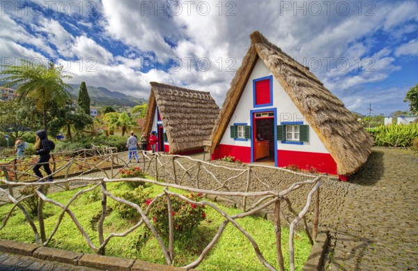 Typical traditional thatched houses Casinhas de Santana, landmark, UNESCO biosphere reserve, tourist event, Santana, Madeira, Portugal, Europe