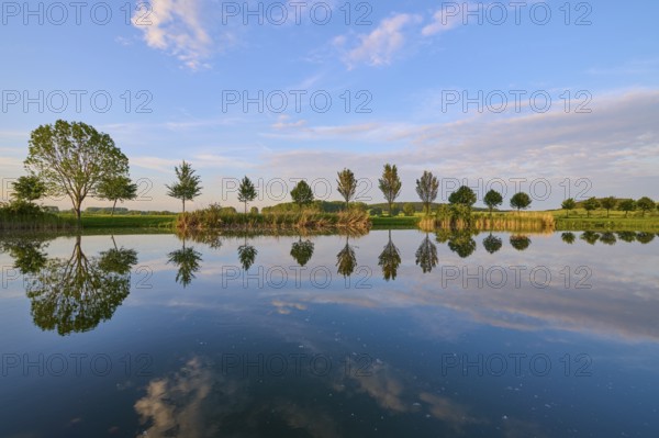 Lake in spring with row of trees and reflection, Drei Gleichen, Ilm-Kreis, Thuringia, Germany, Europe