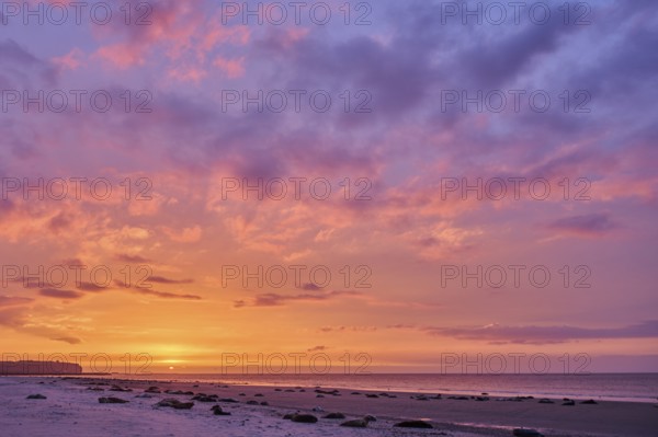 Colorful sunset on the beach with Grey seal (Halichoerus grypus) lying lying on it, Düne, Helgoland, Schleswig-Holstein, Germany, Europe