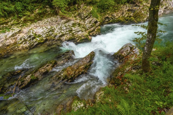 Turquoise water of radovna river rapids in vintgar gorge, a popular tourist destination near bled, slovenia