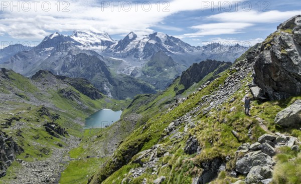 Mountain stream and mountain lake Lac de Louvie with glaciated summit of the Grand Combin, Val de Bagnes, Valais, Switzerland, Europe