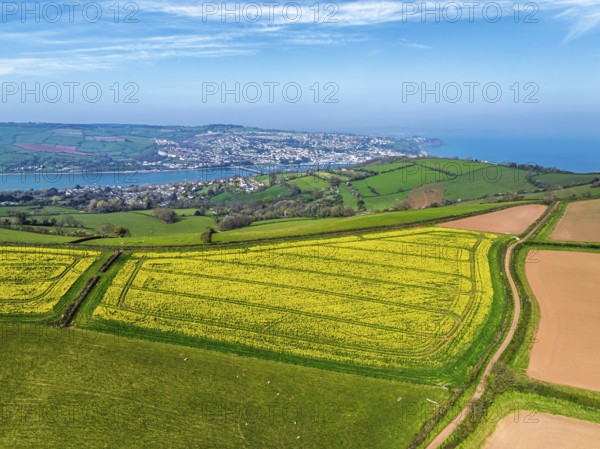 Rapeseed fields over the River Teign from a drone, Teignmouth, Shaldon, Devon, England, United Kingdom, Europe