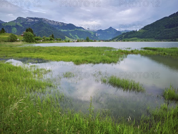 Reservoir, Sihlsee, Euthal, Canton Schwyz, Switzerland, Europe