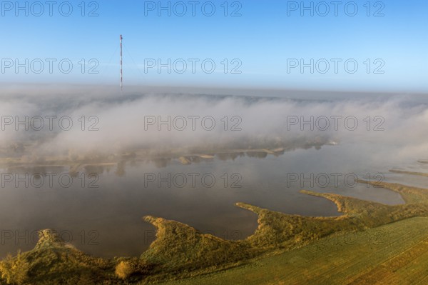 Aerial view of river Elbe near Lenzen, view to Höhbeck radio mast, morning fog in autumn, Germany, Europe