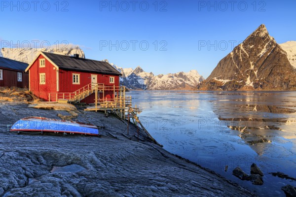 Red wooden house at fjord in front of Bergen, morning light, reflection, winter, Reine, Moskenesoya, Lofoten, Norway, Europe