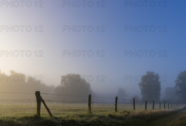 Early morning fog, landscape in and around Wittmoor, Norderstedt, Schleswig-Holstein, Germany, Europe