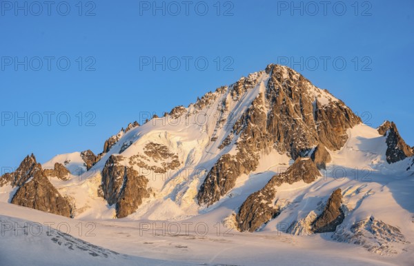 High alpine mountain landscape at sunset, summit of the Aiguille de Chardonnet and Glacier du Tour in the evening light, glacier and mountain peaks, Chamonix, Haute-Savoie, France, Europe