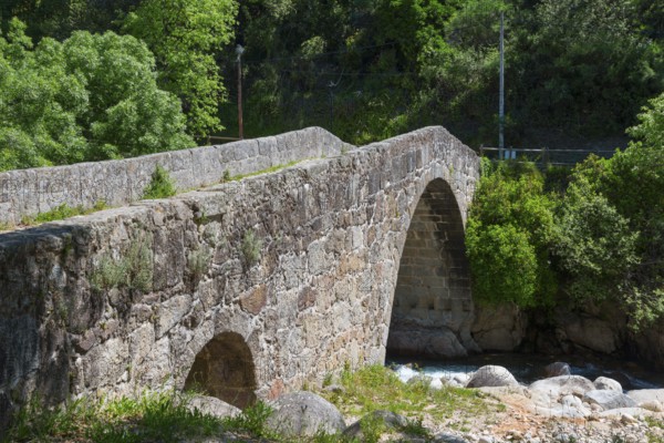 Old stone bridge over a river in a green, wooded setting under a sunny sky, Puente Parral, Roman bridge Parral, Garganta Jaranda, Jaranda Gorge, Jarandilla de la Vera, Cáceres, Caceres, Extremadura, Spain, Europe