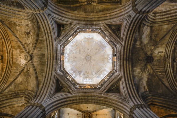 Ceiling vault in the main choir, Cathedral, Catedral de la Santa Creu i Santa Eulalia, Barcelona, Catalonia, Spain, Europe