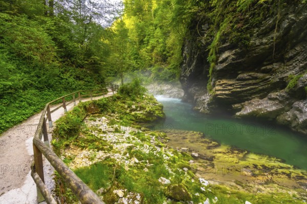 Lush vegetation surrounds a wooden walkway along the stunning emerald radovna river, flowing through vintgar gorge near bled, slovenia