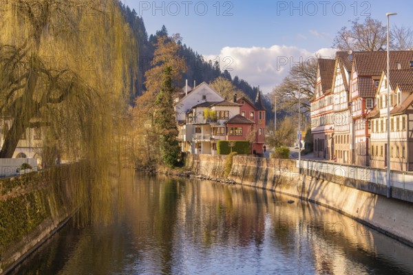 Idyllic town view with river and historic half-timbered houses in autumn, Calw in spring, Black Forest, Germany, Europe