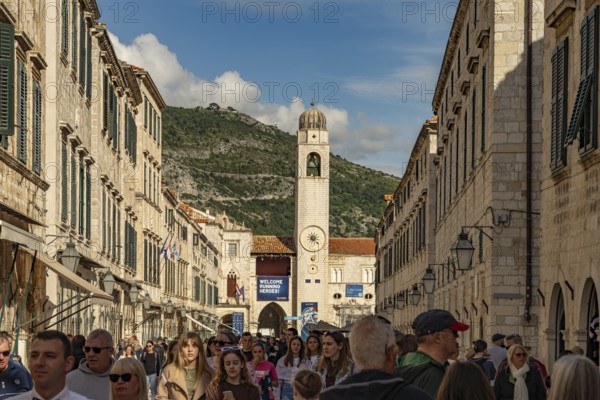 Main promenade Stradun or Placa and the landmark bell tower in Dubrovnik, Croatia, Europe