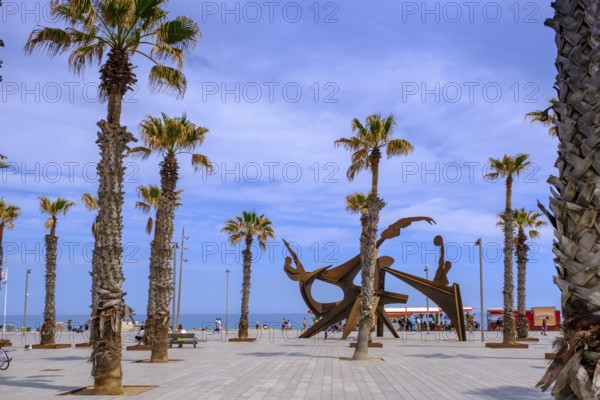 Placa del Mar, Homenatge a la Natació, Barceloneta Beach, Beach, Platja de la Barceloneta, Barcelona, Catalonia, Spain, Europe