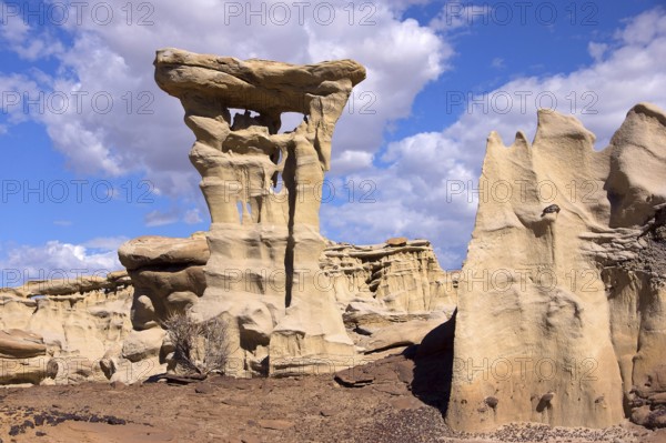 The Valley of Dreams, New Mexico, USA, Valley of Dreams, New Mexico, USA, North America