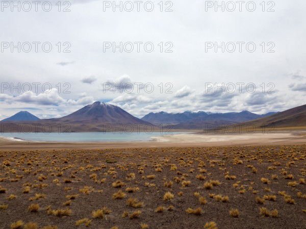 Highland lagoons Atacama Desert, Chile, South America