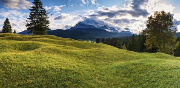 Humpback meadows between Mittenwald and Krün, Werdenfelser Land, behind it the Wettersteinspitze, 2151m, Wetterstein range, Upper Bavaria, Bavaria, Germany, Europe