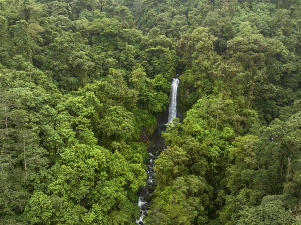 Aerial view, waterfall in the rainforest, Catarata de la Paz, La Paz Waterfall Gardens Nature Park, Alajuela Province, Costa Rica, Central America