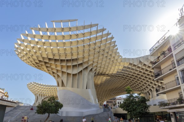Imposing wooden construction of the Metropol Parasol in strong sunlight between city buildings, Seville