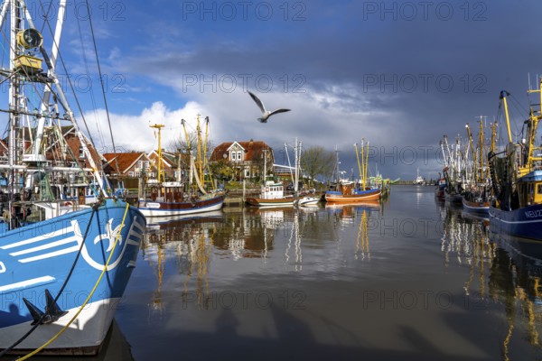 Cutter harbour Neuharlingersiel, shrimp cutter, East Frisia, Lower Saxony, Germany, Europe