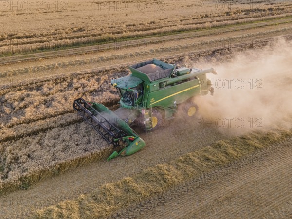 A combine harvester harvests a grain field near Frankfurt am Main. (Aerial photo with a drone), Frankfurt, Hesse, Germany, Europe