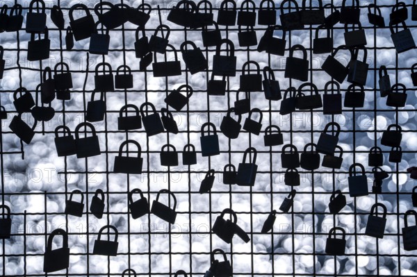 Padlocks, so-called love locks on a fence, vantage point in Wesel am Rhein, North Rhine-Westphalia, Germany, Europe