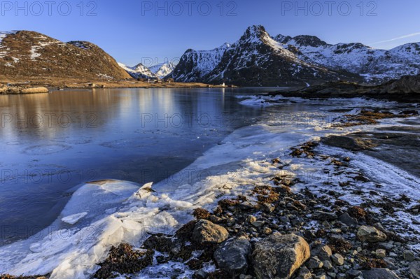 Sunrise, morning light, steep mountains and fjord, ice, winter, Flakstadoya, Lofoten, Norway, Europe