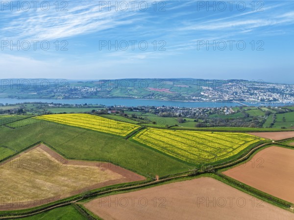 Rapeseed fields over the River Teign from a drone, Teignmouth, Shaldon, Devon, England, United Kingdom, Europe