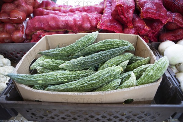 Bitter gherkins, souk or soug or market in the old town of Nizwa, ad-Dachiliyya region, Oman, Asia